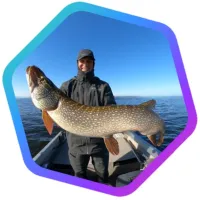 avatar_card